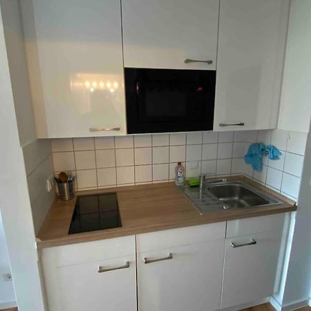 Schoene, Kleine, Gemuetliche Wohnung - Stadtmitte Майнц Экстерьер фото