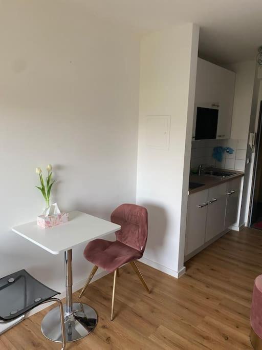 Schoene, Kleine, Gemuetliche Wohnung - Stadtmitte Майнц Экстерьер фото